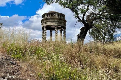 Terra a Mogadouro, Braganca, Mogadouro - € 6.000 | Ref: 144935 - foto 5