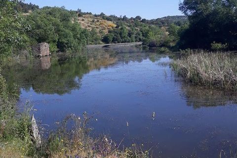 Terra a Mogadouro, Braganca, Mogadouro - € 6.000 | Ref: 144935 - foto 6