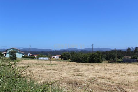 Helårsgrund i Pombal, Leiria, Pombal - € 32.500 | Ref: C0381-00221 - foto 3