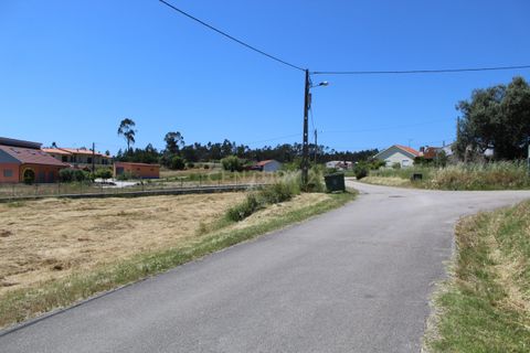 Helårsgrund i Pombal, Leiria, Pombal - € 32.500 | Ref: C0381-00221 - foto 5