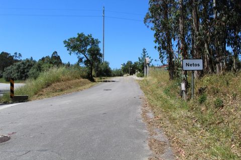 Helårsgrund i Pombal, Leiria, Pombal - € 32.500 | Ref: C0381-00221 - foto 7