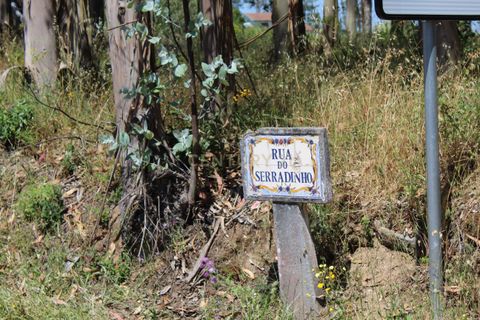 Helårsgrund i Pombal, Leiria, Pombal - € 32.500 | Ref: C0381-00221 - foto 8