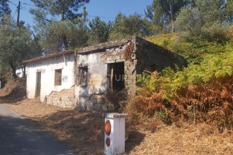 Terra a Freixianda, Santarem, Freixianda - € 23.000 | Ref: C0381-00347 - foto 4