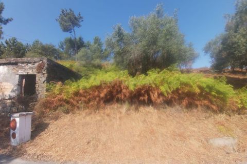 Terra a Freixianda, Santarem, Freixianda - € 23.000 | Ref: C0381-00347 - foto 7