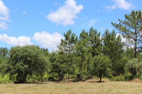 Helårsgrund i Pombal, Leiria, Pombal - € 42.500 | Ref: C0381-00125 - foto 2