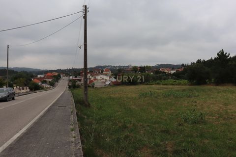 Helårsgrund i Pombal, Leiria, Pombal - € 42.500 | Ref: C0381-00125 - foto 3