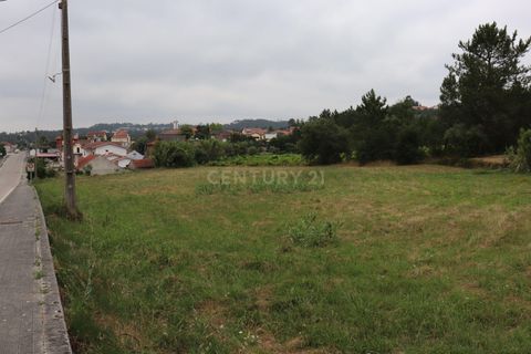 Helårsgrund i Pombal, Leiria, Pombal - € 42.500 | Ref: C0381-00125 - foto 4