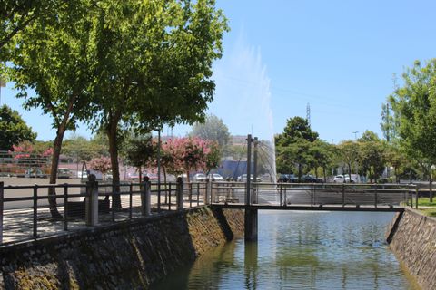 Helårsgrund i Pombal, Leiria, Pombal - € 42.500 | Ref: C0381-00125 - foto 10
