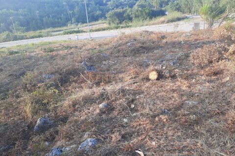 Helårsgrund i Pombal, Leiria, Pombal - € 50.000 | Ref: C0381-00218 - foto 6