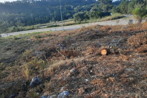 Helårsgrund i Pombal, Leiria, Pombal - € 50.000 | Ref: C0381-00218 - foto 9
