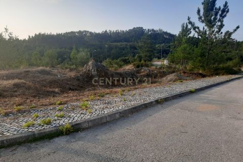 Helårsgrund i Pombal, Leiria, Pombal - € 52.000 | Ref: C0381-00217 - foto 12