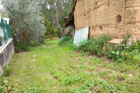 Villa i Soure, Coimbra, Soure - € 25.000 | Ref: C0381-00301 - foto 2