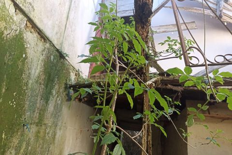 Villa i Soure, Coimbra, Soure - € 25.000 | Ref: C0381-00414 - foto 9
