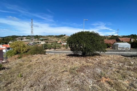 Terra a Batalha, Leiria, Batalha - € 27.800 | Ref: C0381-00499 - foto 10