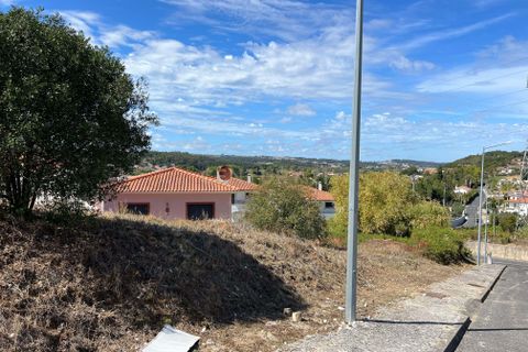 Terra a Batalha, Leiria, Batalha - € 27.800 | Ref: C0381-00499 - foto 15