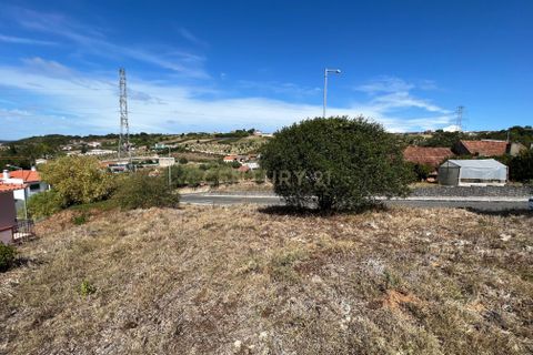 Terra a Batalha, Leiria, Batalha - € 27.800 | Ref: C0381-00499 - foto 16
