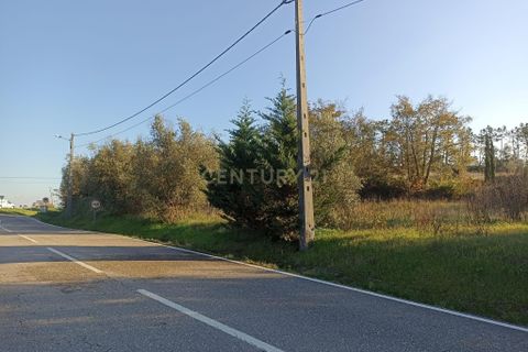 Villa i Pombal, Leiria, Pombal - € 150.000 | Ref: C0381-00517 - foto 14