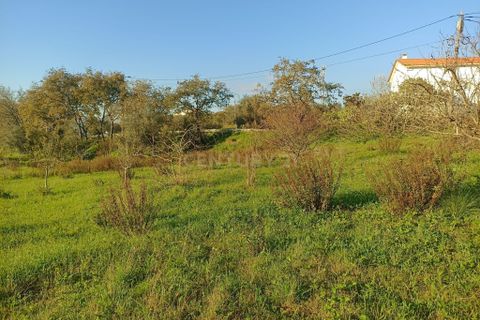 Villa i Pombal, Leiria, Pombal - € 150.000 | Ref: C0381-00517 - foto 15