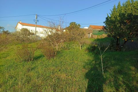 Villa i Pombal, Leiria, Pombal - € 150.000 | Ref: C0381-00517 - foto 16
