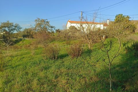 Villa i Pombal, Leiria, Pombal - € 150.000 | Ref: C0381-00517 - foto 17