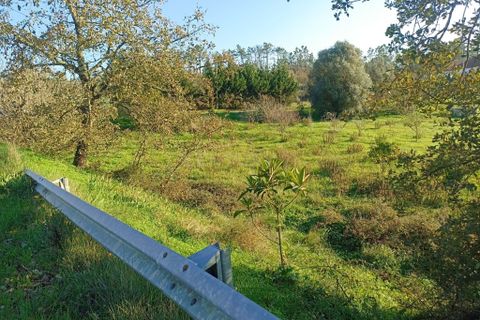 Villa i Pombal, Leiria, Pombal - € 150.000 | Ref: C0381-00517 - foto 19