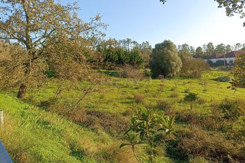 Villa i Pombal, Leiria, Pombal - € 150.000 | Ref: C0381-00517 - foto 20