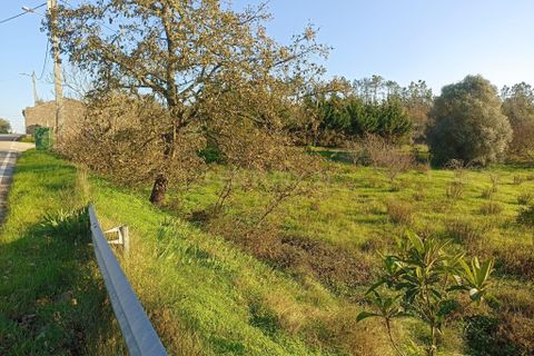 Villa i Pombal, Leiria, Pombal - € 150.000 | Ref: C0381-00517 - foto 21