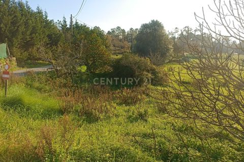 Villa i Pombal, Leiria, Pombal - € 150.000 | Ref: C0381-00517 - foto 22