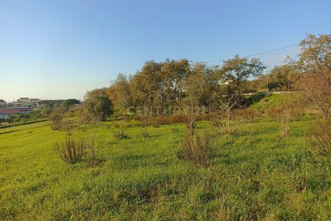 Villa i Pombal, Leiria, Pombal - € 150.000 | Ref: C0381-00517 - foto 23