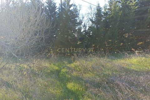 Villa i Pombal, Leiria, Pombal - € 150.000 | Ref: C0381-00517 - foto 24
