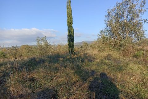 Villa i Pombal, Leiria, Pombal - € 150.000 | Ref: C0381-00517 - foto 26