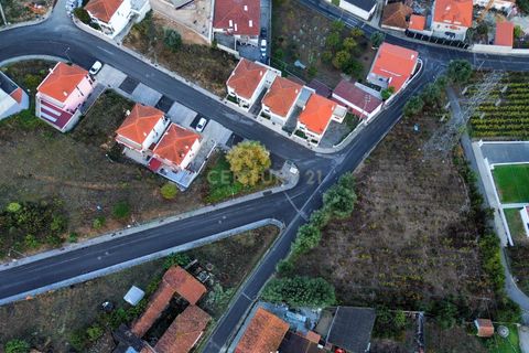 Terra a Batalha, Leiria, Batalha - € 32.750 | Ref: C0381-00526 - foto 4