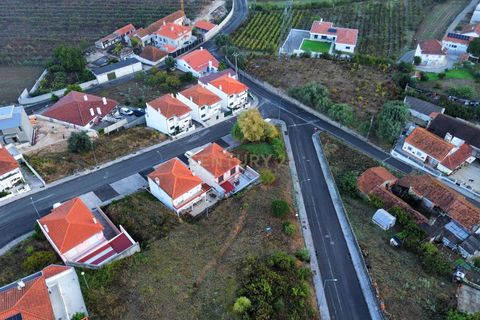 Terra a Batalha, Leiria, Batalha - € 32.750 | Ref: C0381-00526 - foto 9