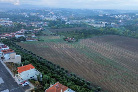 Terra a Batalha, Leiria, Batalha - € 32.750 | Ref: C0381-00526 - foto 10