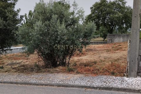 Helårsgrund i Pombal, Leiria, Pombal - € 65.000 | Ref: C0381-00037 - foto 1