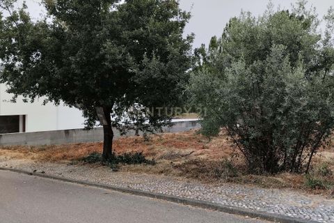 Helårsgrund i Pombal, Leiria, Pombal - € 65.000 | Ref: C0381-00037 - foto 2