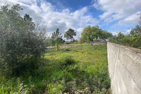 Helårsgrund i Pombal, Leiria, Pombal - € 65.000 | Ref: C0381-00037 - foto 8