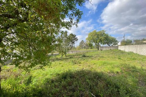 Helårsgrund i Pombal, Leiria, Pombal - € 65.000 | Ref: C0381-00037 - foto 9