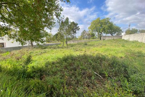 Helårsgrund i Pombal, Leiria, Pombal - € 65.000 | Ref: C0381-00037 - foto 10