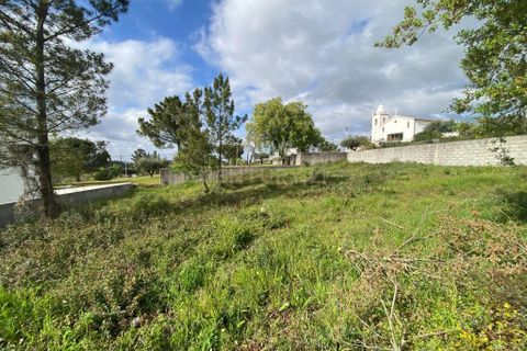 Helårsgrund i Pombal, Leiria, Pombal - € 65.000 | Ref: C0381-00037 - foto 11