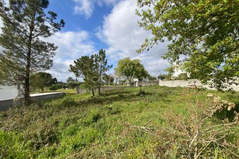 Helårsgrund i Pombal, Leiria, Pombal - € 65.000 | Ref: C0381-00037 - foto 12