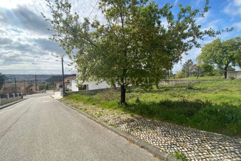Helårsgrund i Pombal, Leiria, Pombal - € 65.000 | Ref: C0381-00037 - foto 14