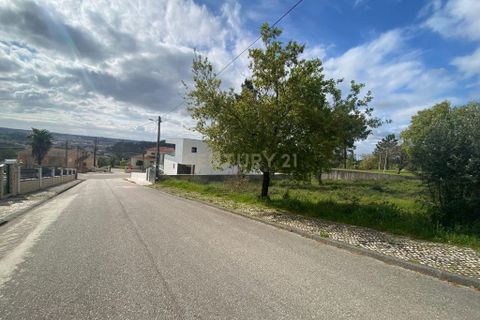 Helårsgrund i Pombal, Leiria, Pombal - € 65.000 | Ref: C0381-00037 - foto 16