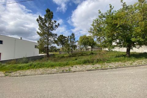 Helårsgrund i Pombal, Leiria, Pombal - € 65.000 | Ref: C0381-00037 - foto 17