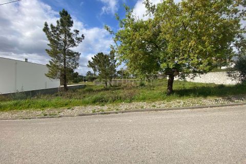 Helårsgrund i Pombal, Leiria, Pombal - € 65.000 | Ref: C0381-00037 - foto 18