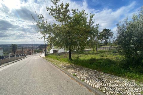 Helårsgrund i Pombal, Leiria, Pombal - € 65.000 | Ref: C0381-00037 - foto 19