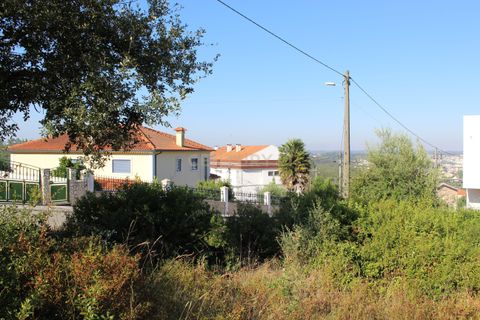 Helårsgrund i Pombal, Leiria, Pombal - € 65.000 | Ref: C0381-00037 - foto 25