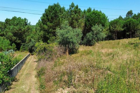 Helårsgrund i Pombal, Leiria, Pombal - € 24.000 | Ref: C0381-00616 - foto 2
