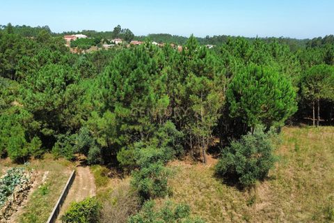 Helårsgrund i Pombal, Leiria, Pombal - € 24.000 | Ref: C0381-00616 - foto 3