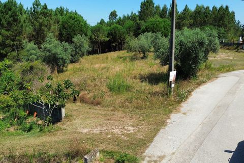 Helårsgrund i Pombal, Leiria, Pombal - € 24.000 | Ref: C0381-00616 - foto 4